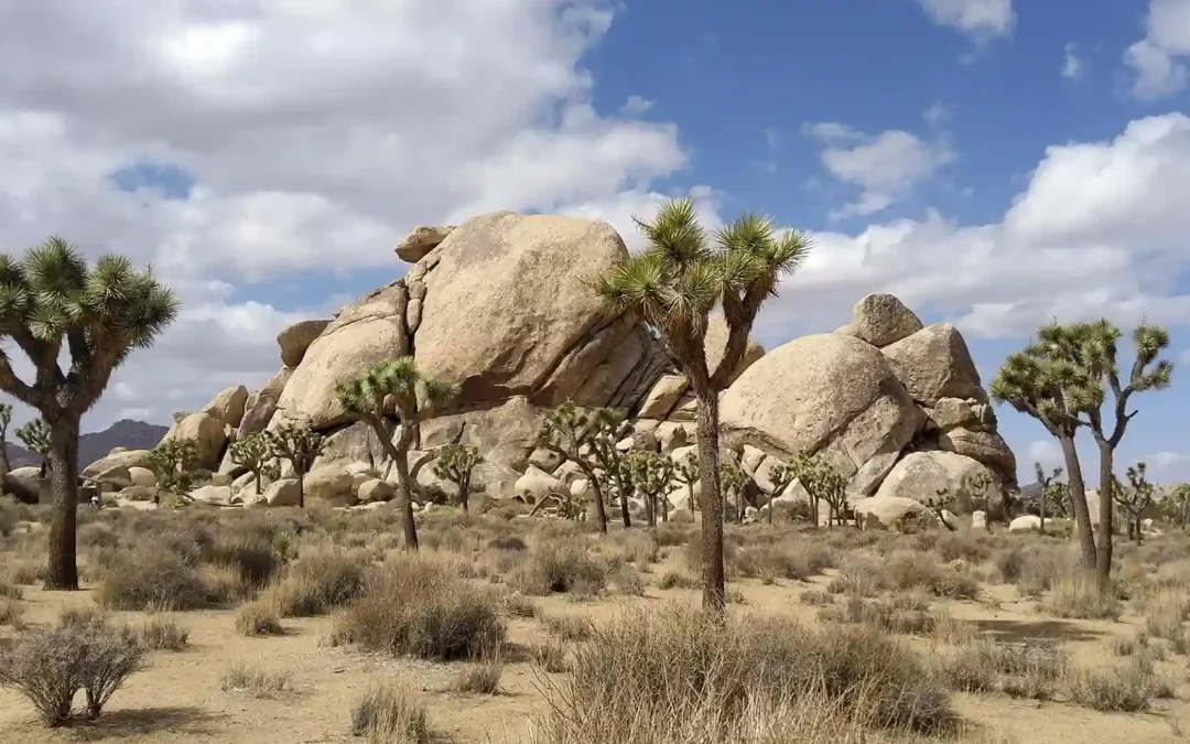 USA Travel Guide – Road Trips, Cheesesteaks & Chaos