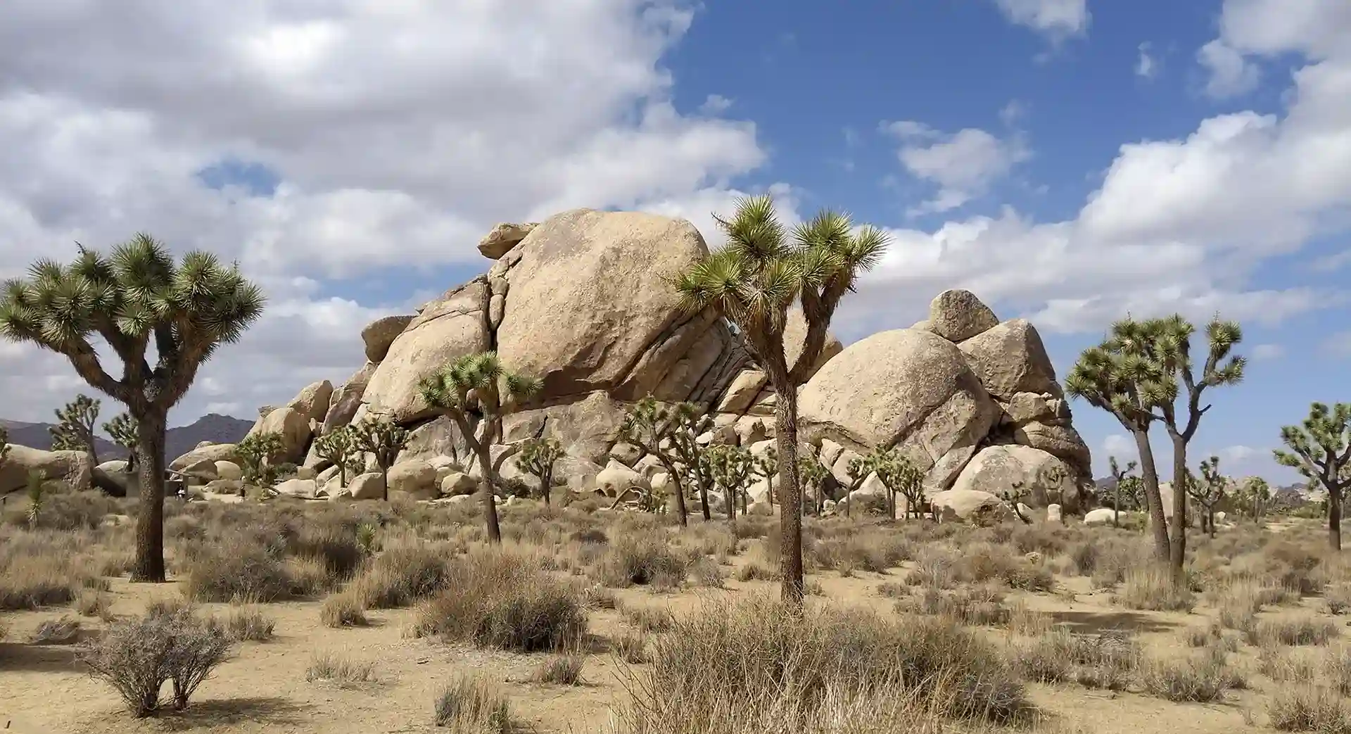 Ultimate USA Travel Guide